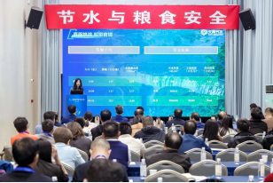 202412051733369039130833.png image.png