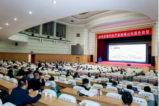 202412051733369175497099.png image.png