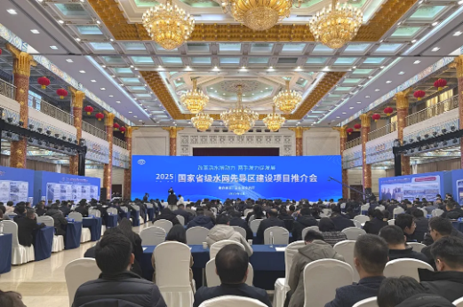 202502201740019284142696.png image.png