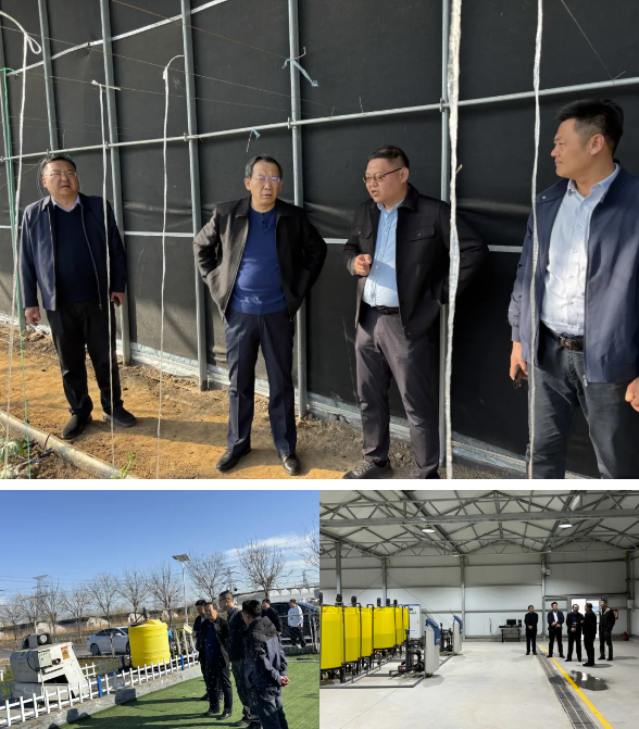 202504021743562534339819.png image.png