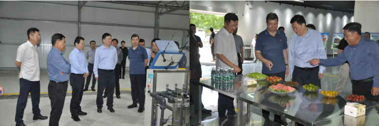 202505191747625510351481.png image.png