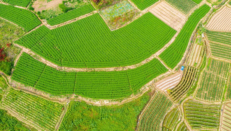 福建省浦城縣官路鄉(xiāng)2024年高標(biāo)準(zhǔn)農(nóng)田建設(shè)項(xiàng)目