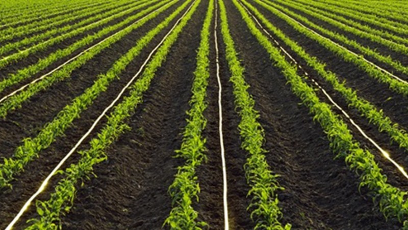 內(nèi)蒙古科右前旗2023年“EPC+O”高標(biāo)準(zhǔn)農(nóng)田建設(shè)項(xiàng)目