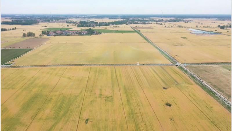 河南省鹿邑縣22.1萬(wàn)畝高標(biāo)準(zhǔn)農(nóng)田“EPC+O”項(xiàng)目