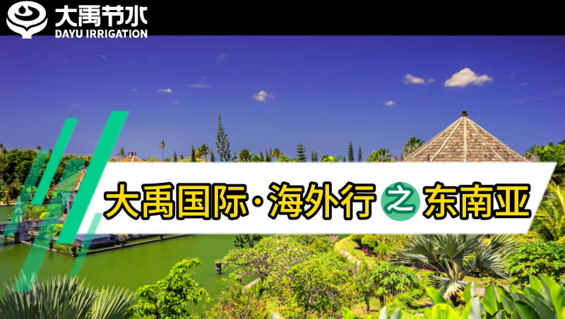 大禹國際海外行之東南亞