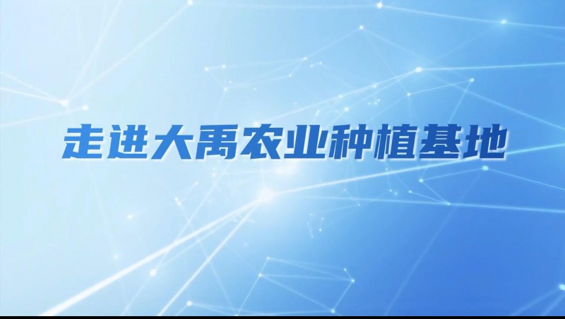 大禹農(nóng)業(yè)| 多元化種植基地矩陣，探索農(nóng)業(yè)現(xiàn)代化新路徑