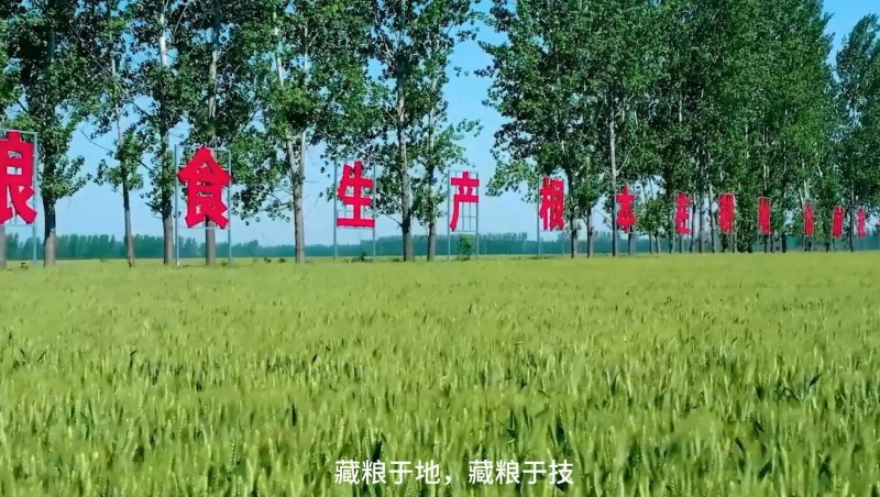大禹節(jié)水：破解高標(biāo)準(zhǔn)農(nóng)田建設(shè)難題，扛牢糧食安全重?fù)?dān)，以科技與責(zé)任交出了一份創(chuàng)新答卷。